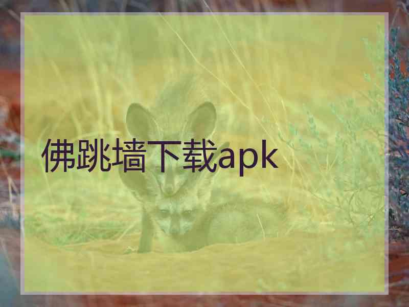 佛跳墙下载apk