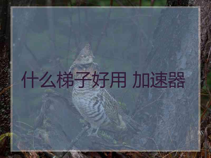 什么梯子好用 加速器