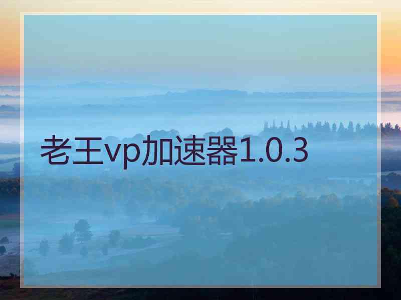 老王vp加速器1.0.3