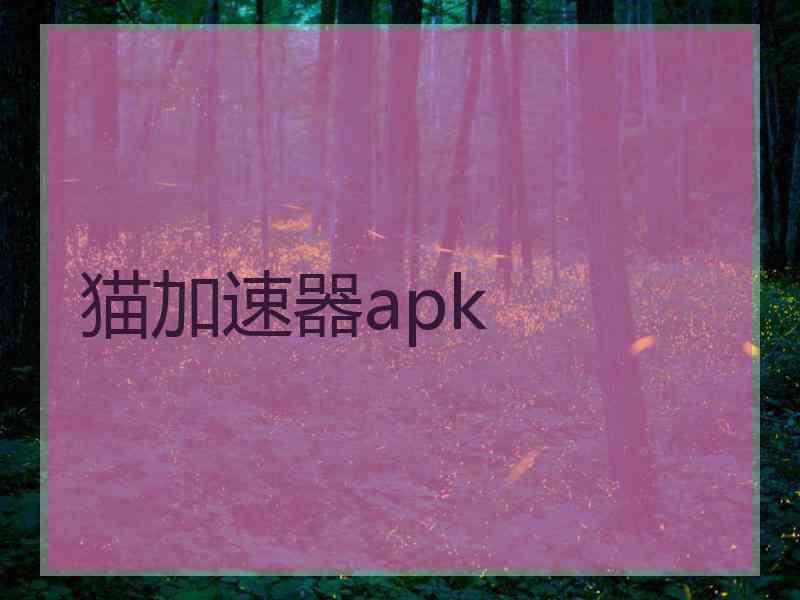猫加速器apk