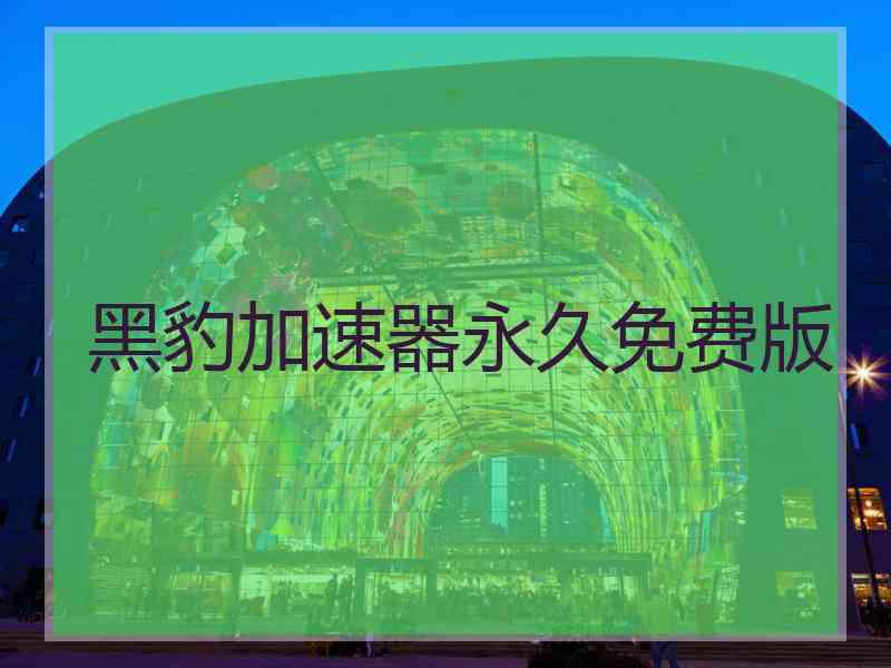 黑豹加速器永久免费版