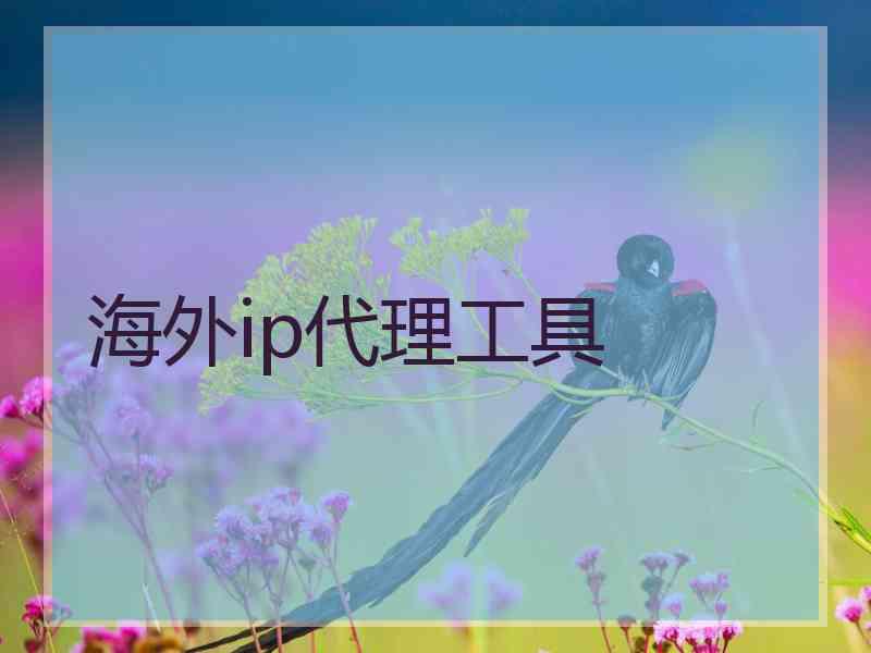 海外ip代理工具