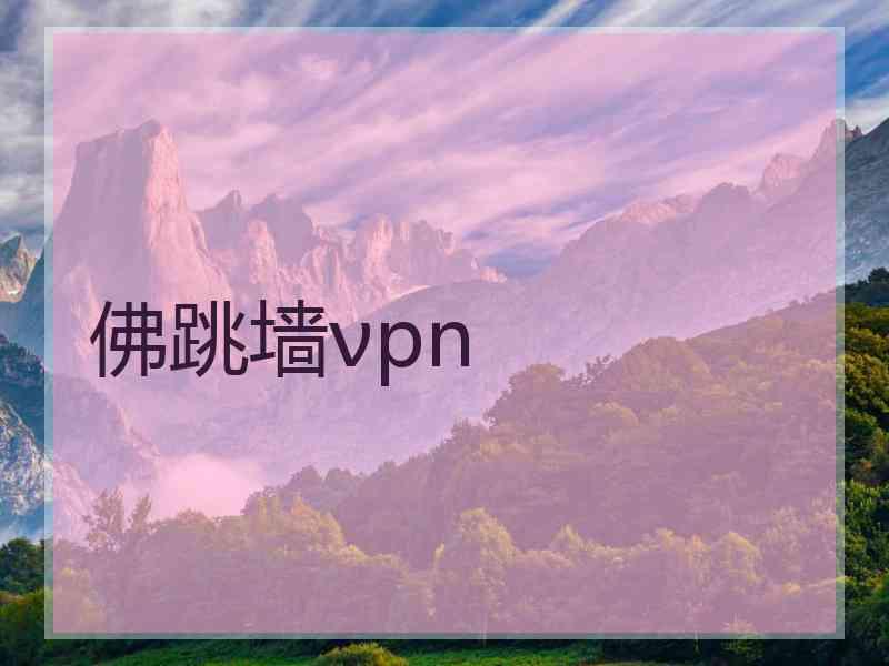 佛跳墙νpn