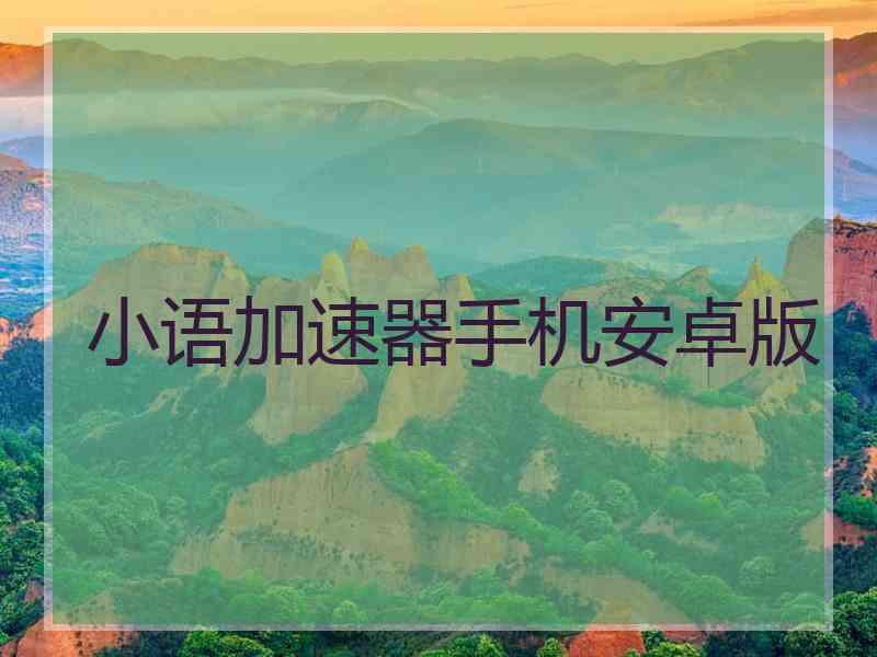 小语加速器手机安卓版