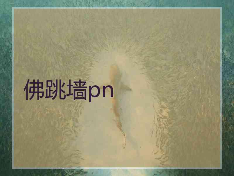 佛跳墙pn