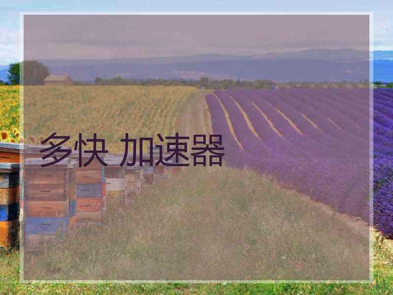 多快 加速器