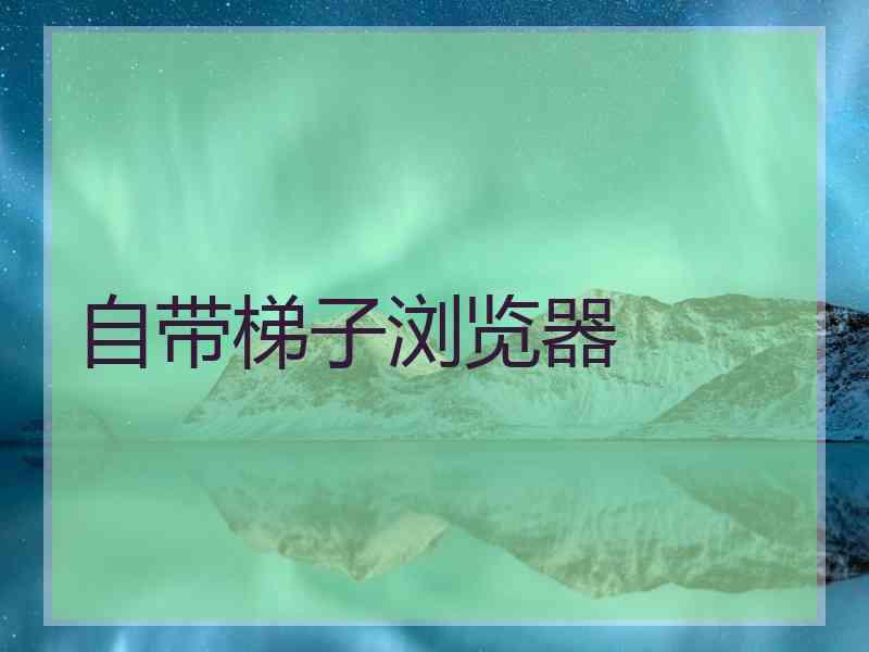 自带梯子浏览器