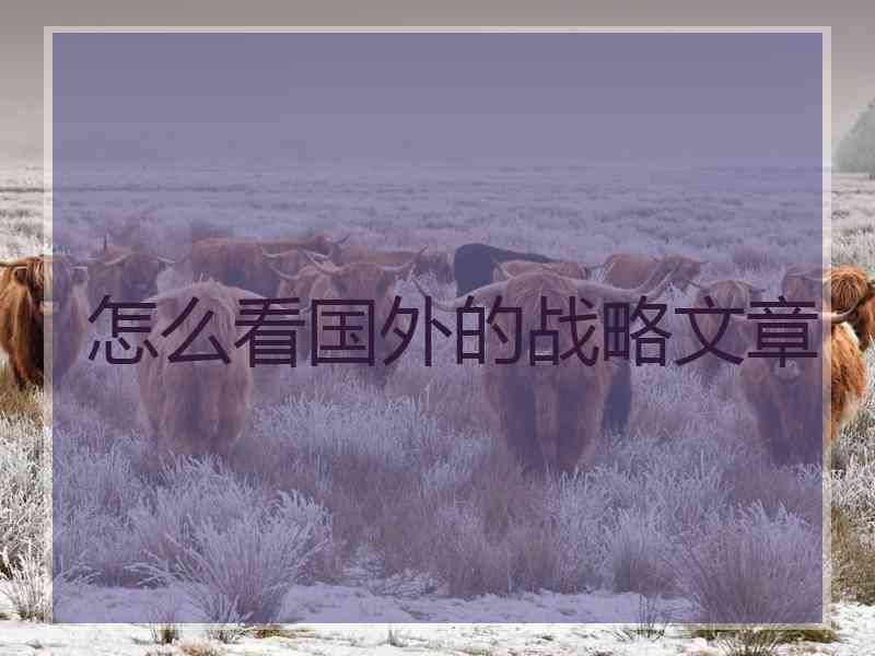 怎么看国外的战略文章