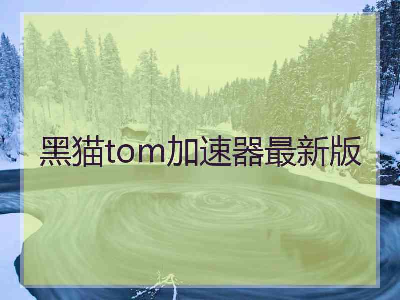 黑猫tom加速器最新版