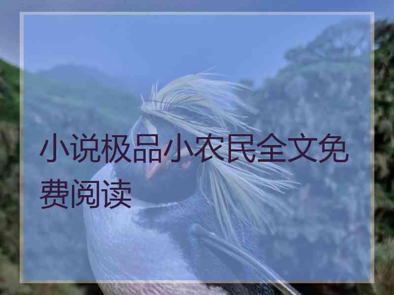 小说极品小农民全文免费阅读
