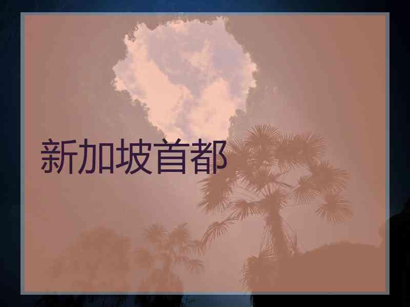 新加坡首都