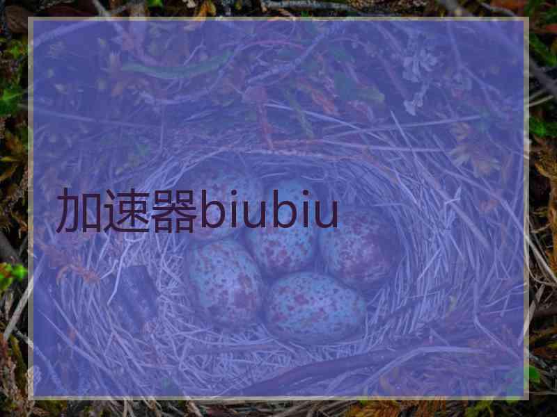 加速器biubiu
