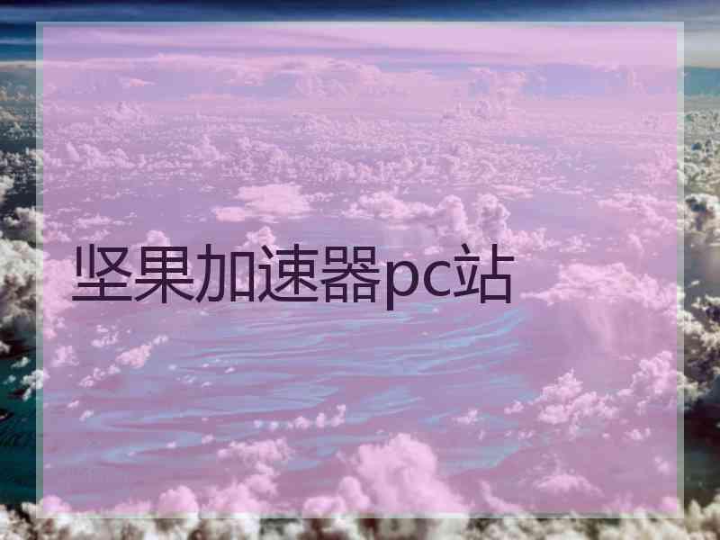 坚果加速器pc站