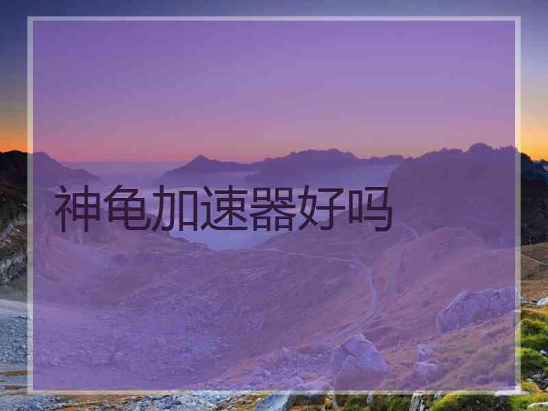 神龟加速器好吗