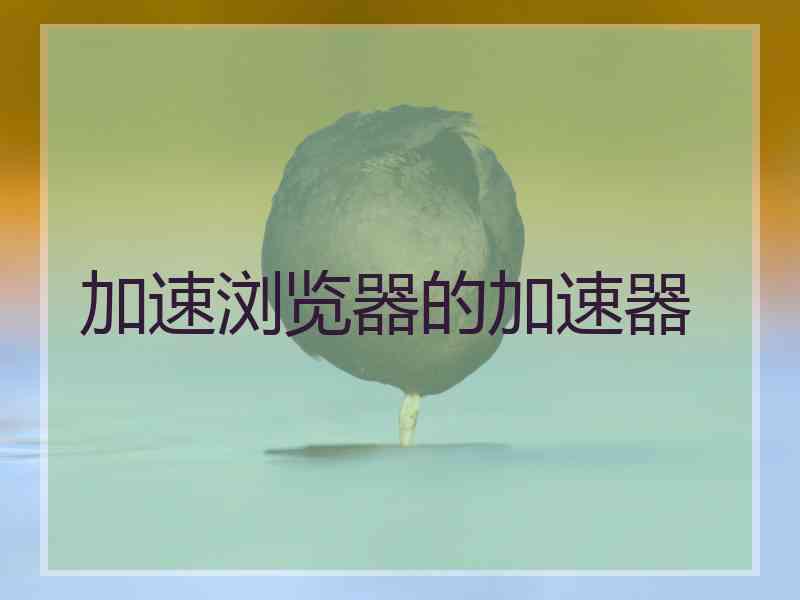 加速浏览器的加速器