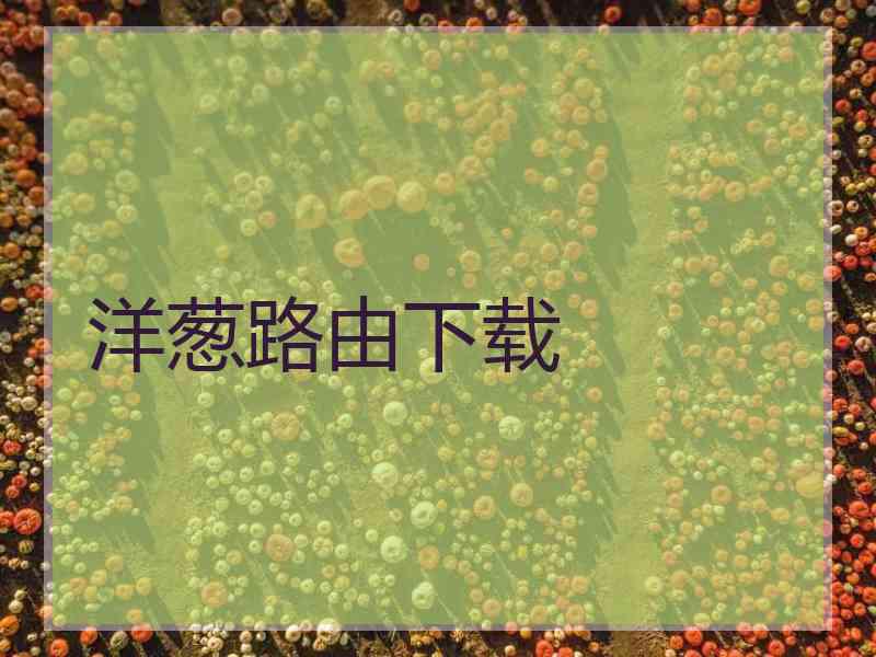 洋葱路由下载