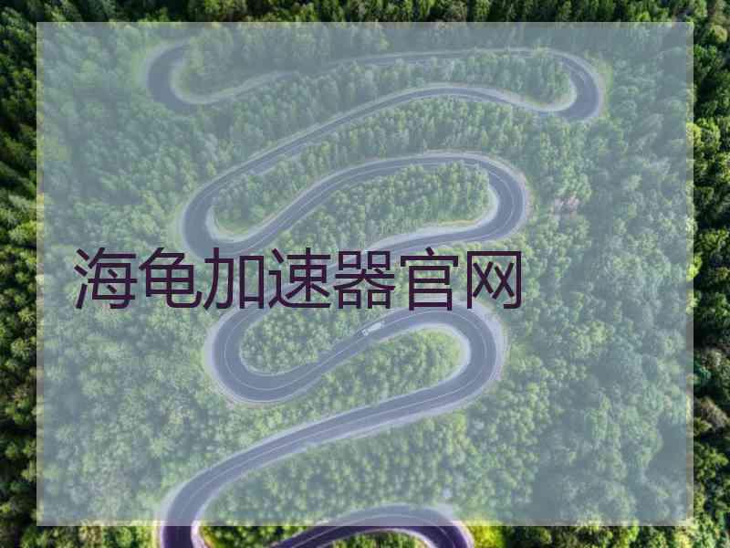 海龟加速器官网