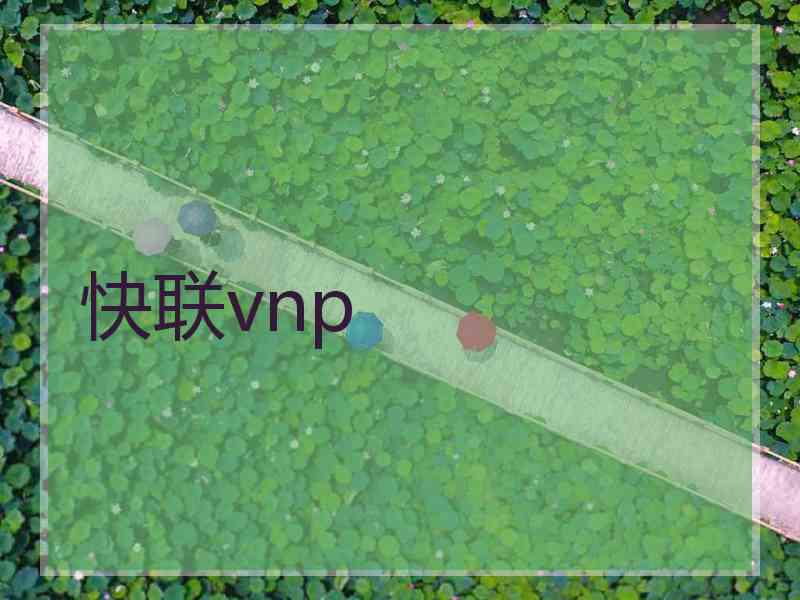 快联vnp