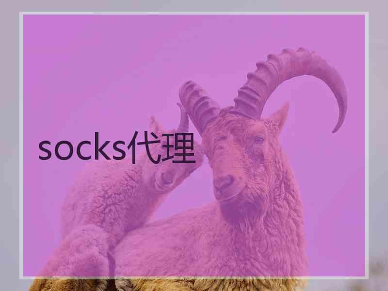 socks代理