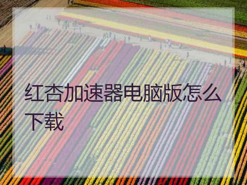 红杏加速器电脑版怎么下载