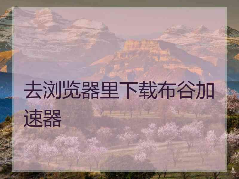 去浏览器里下载布谷加速器