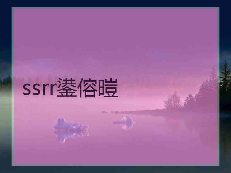 ssrr鍙傛暟