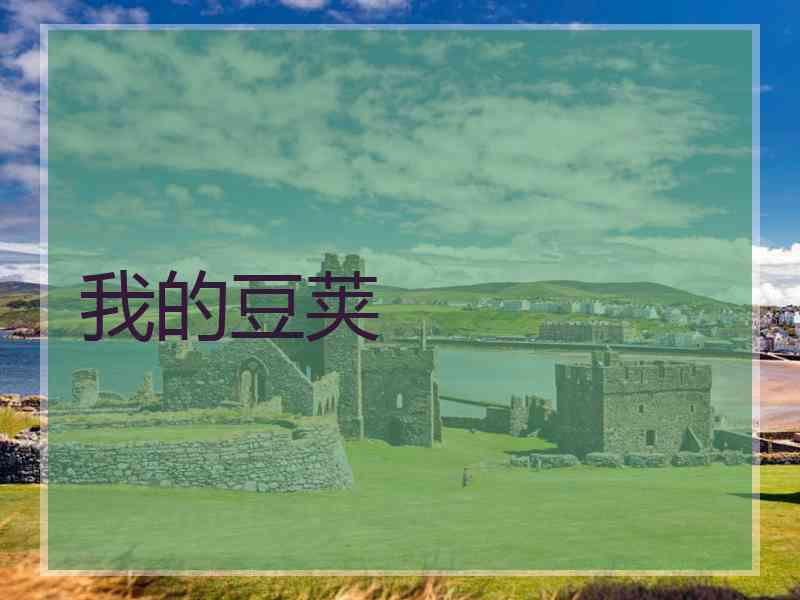 我的豆荚