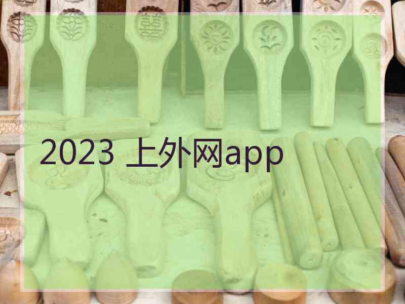 2023 上外网app