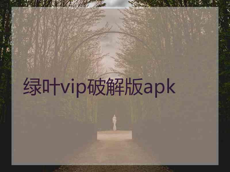 绿叶vip破解版apk