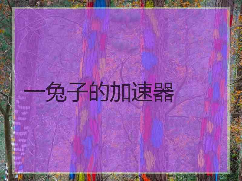 一兔子的加速器