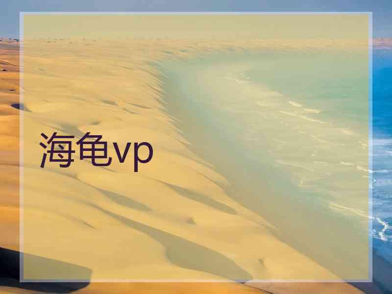 海龟vp