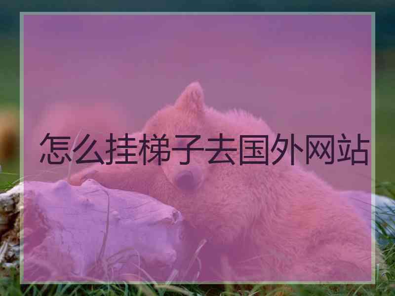 怎么挂梯子去国外网站