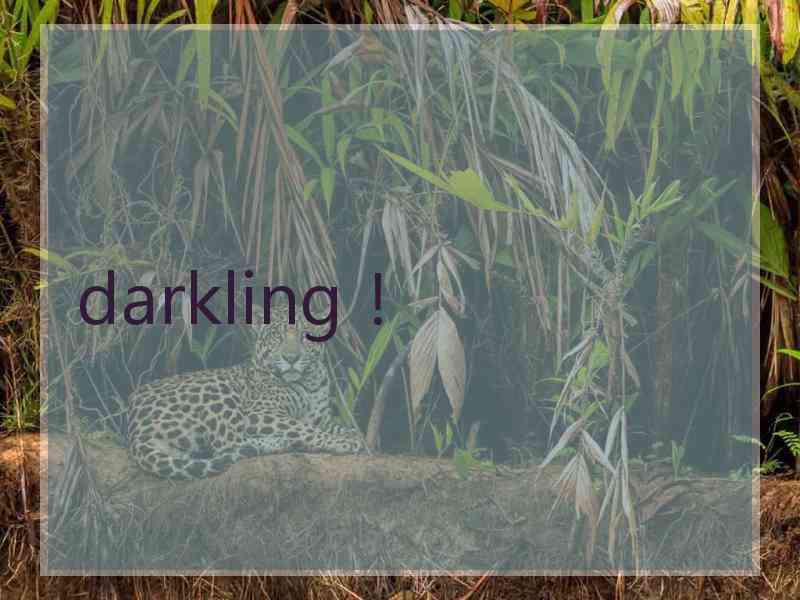 darkling！