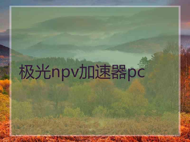 极光npv加速器pc