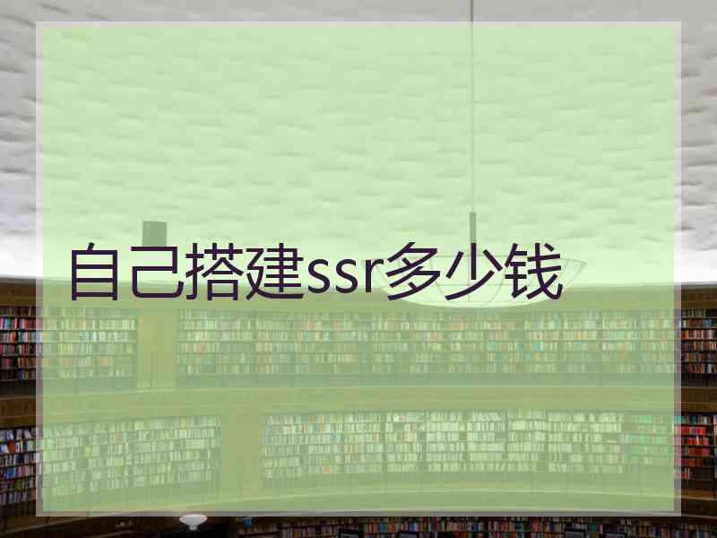 自己搭建ssr多少钱