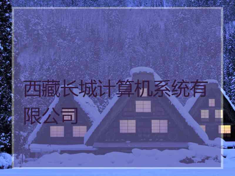 西藏长城计算机系统有限公司