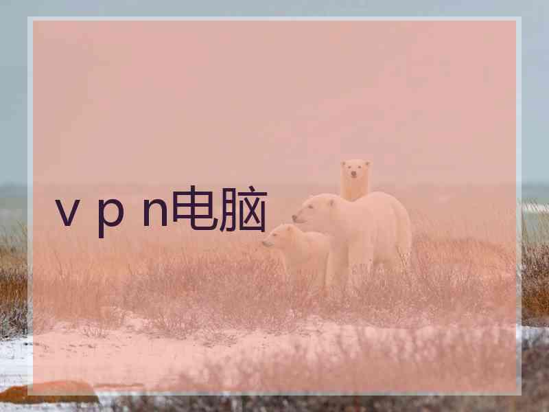 v p n电脑