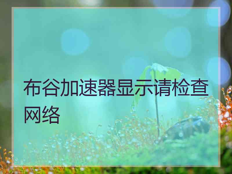 布谷加速器显示请检查网络