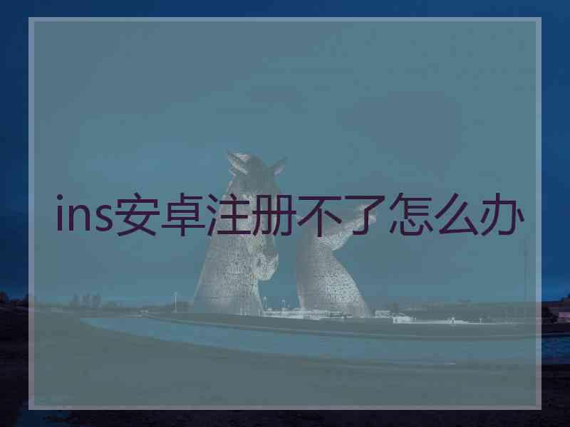 ins安卓注册不了怎么办