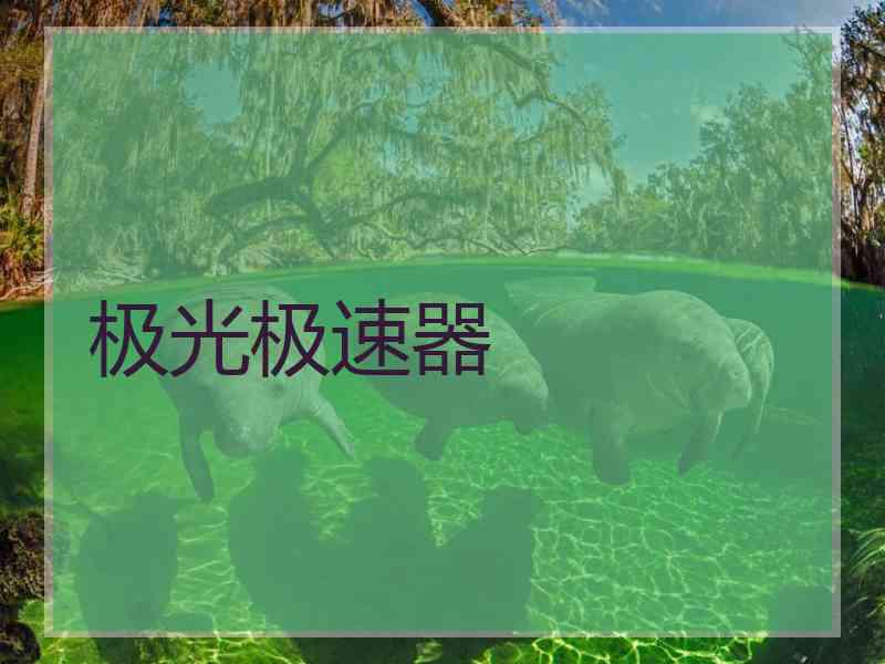 极光极速器