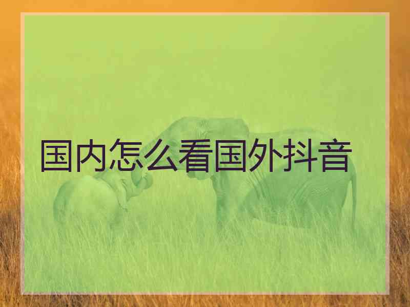 国内怎么看国外抖音