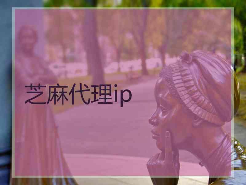 芝麻代理ip