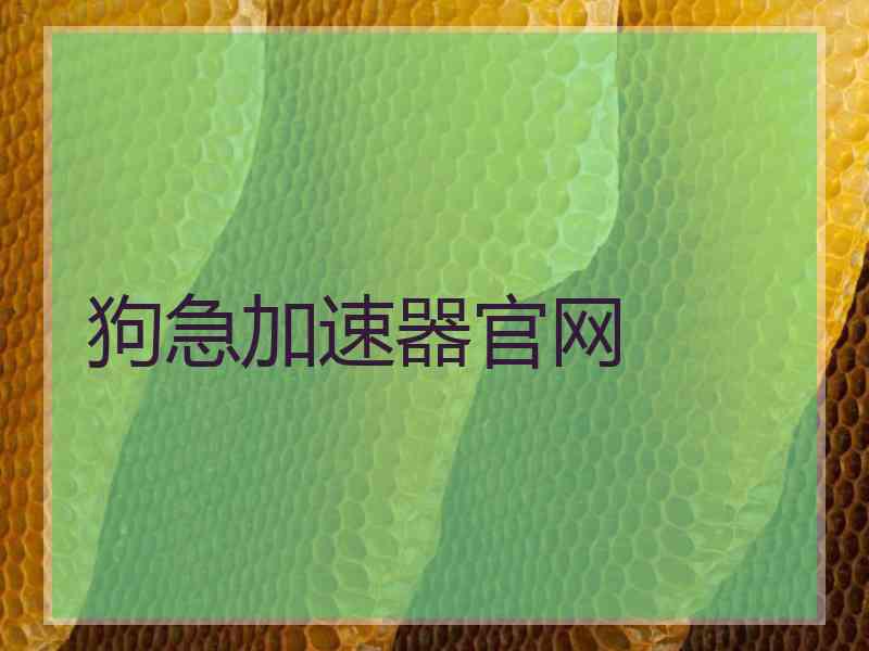 狗急加速器官网