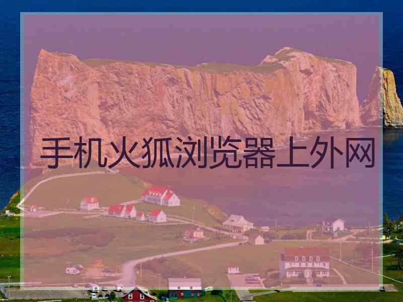 手机火狐浏览器上外网