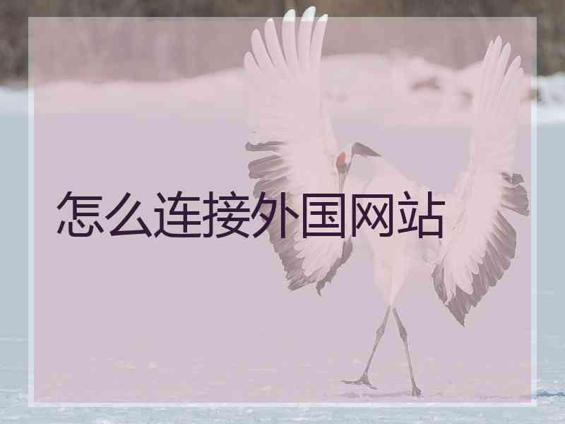 怎么连接外国网站