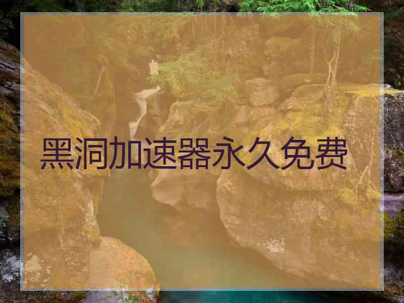 黑洞加速器永久免费