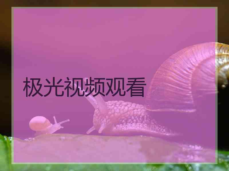 极光视频观看