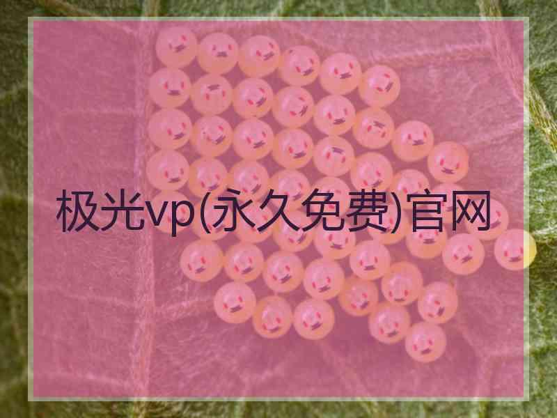 极光vp(永久免费)官网