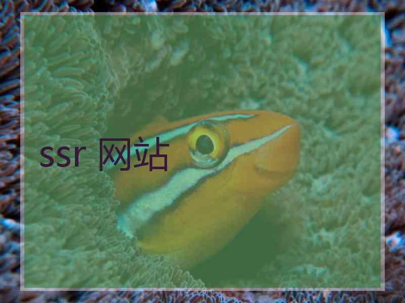 ssr 网站