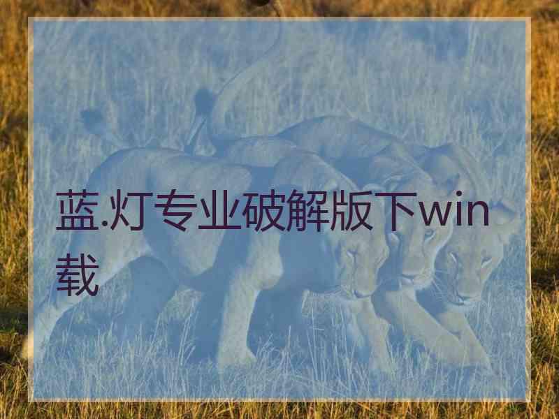 蓝.灯专业破解版下win载